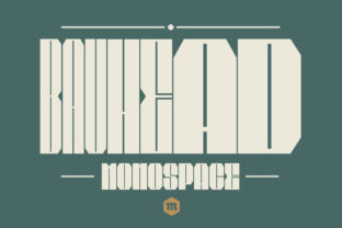 Bauhead: A Modern Sans Serif Font for Campaign Clarity