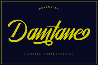 Damtane: A Modern Script Font for Digital Branding