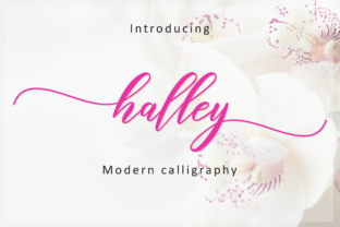 Halley Script: A Light, Romantic Handwritten Typeface for Editorial Design